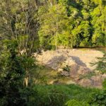 tambang Ilegal Pasaman