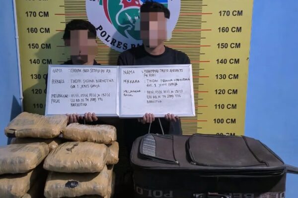 Dramatis, Satresnarkoba Polres Pasaman Gagalkan Penyelundupan 21 Paket Ganja di Rao Barang bukti yang berhasil disita oleh Satresnarkoba Polres Pasaman.(MI/Yose Hendra)