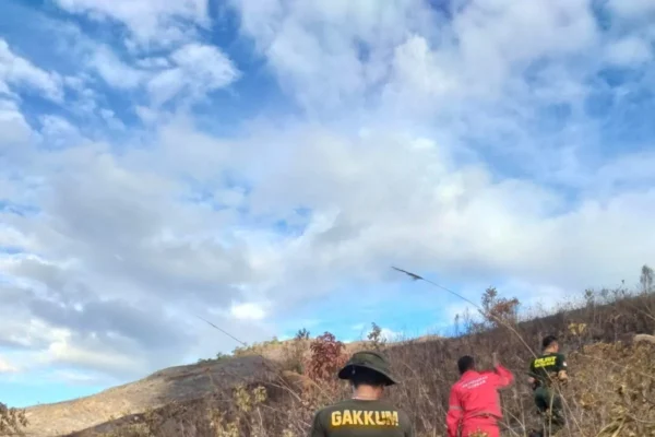 KPHL Pasaman Raya Pastikan Titik Api di Bukit Teletabis Telah Padam Titik Api Bukit Teletabis Pasaman Raya Telah Padam - Foto Antara