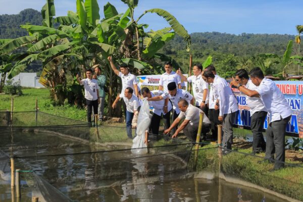 Bupati Pasaman Resmikan Demplot Perikanan Millenial Tanbertara Perikanan Millenial Tanbertara