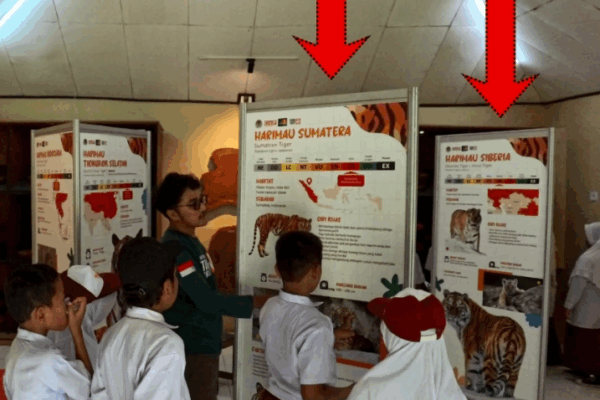 Alat Peraga Edukasi Harimau Sumatera Hilang, RIHAS Tetap Lanjutkan Misi Edukasi Lingkungan RIHAS Rimbo Panti