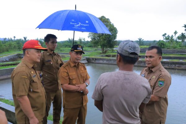 BBI Pasaman tingkatkan PAD
