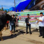 Penyerahan bantuan hewan kurban Presiden untuk masyarakat Alahan Mati Pasaman