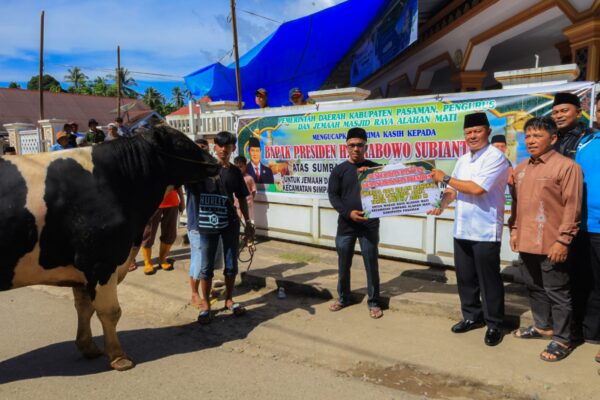 Penyerahan bantuan hewan kurban Presiden untuk masyarakat Alahan Mati Pasaman