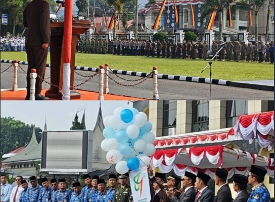 Logo HUT ke-81 Pasaman yang resmi disahkan Pemerintah Kabupaten Pasaman