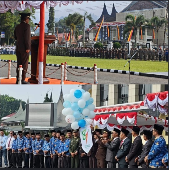 Logo HUT ke-81 Pasaman yang resmi disahkan Pemerintah Kabupaten Pasaman